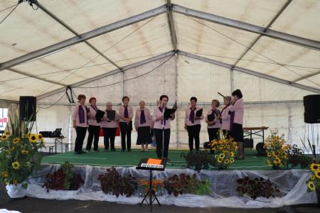 Srečanje upokojencev ob občinskem prazniku 7